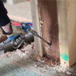 termites solution