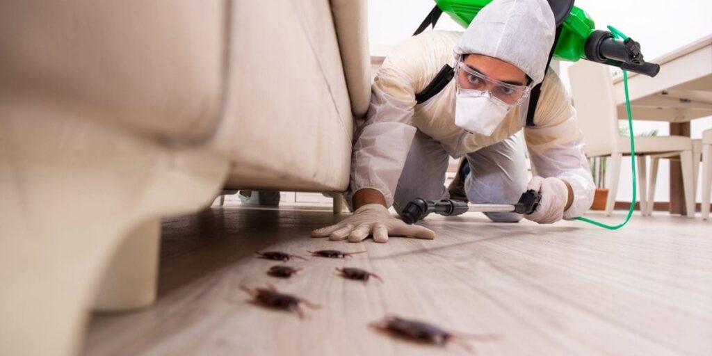 pest control