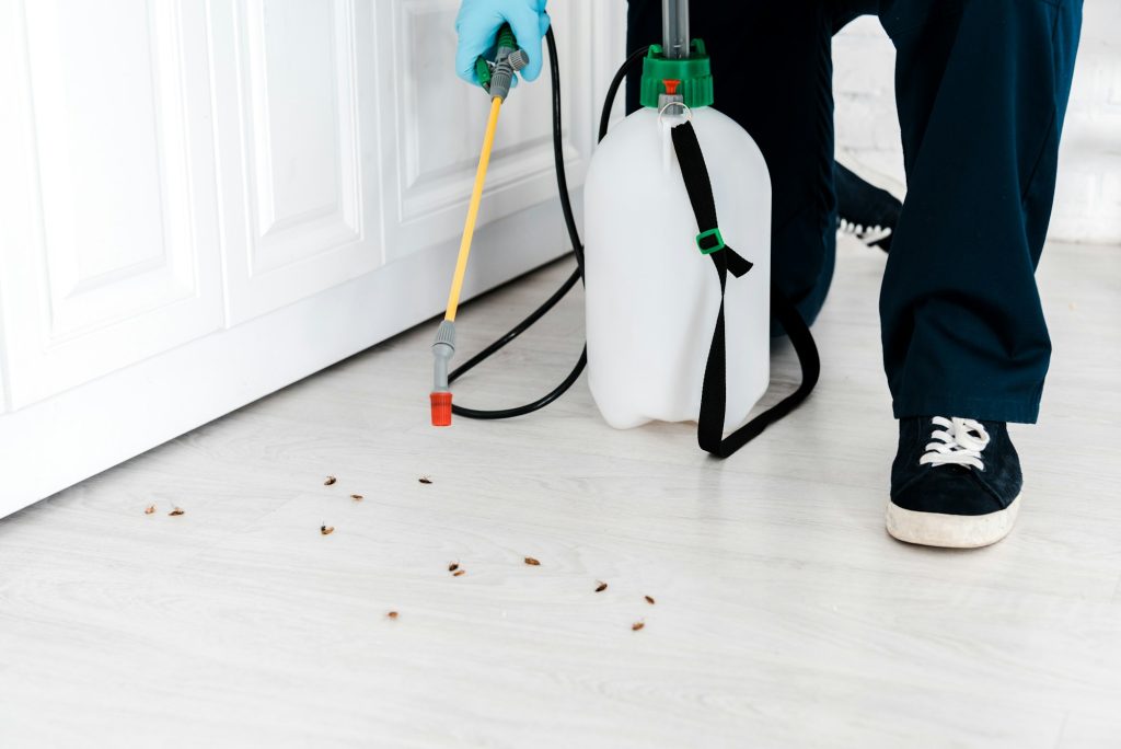 pest control