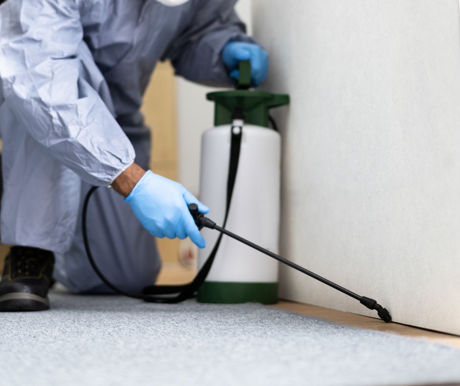 pest control services