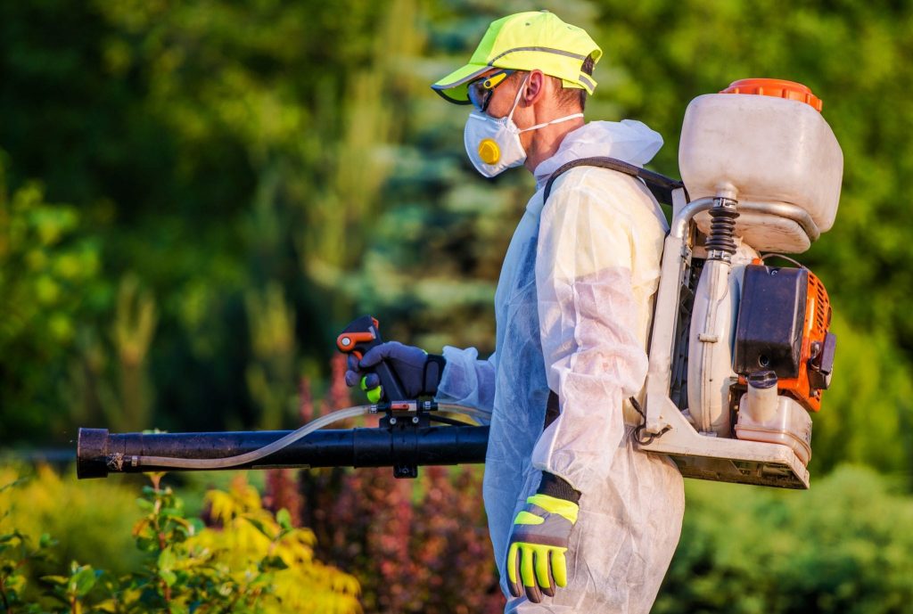sydney pest control